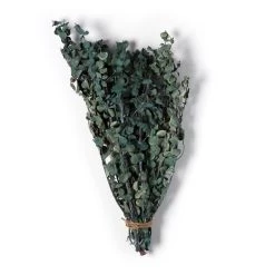 Flash Sale 👏 Green Eucalyptus Bunch by Ashland®, 16oz. 😀 -Ashland Sales 10322552 21