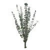 Coupon 🧨 Ashland® Eucalyptus Bunch, 4 oz. 🎉 -Ashland Sales 10333062 1