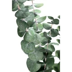 Coupon 🧨 Ashland® Eucalyptus Bunch, 4 oz. 🎉 -Ashland Sales 10333062 2