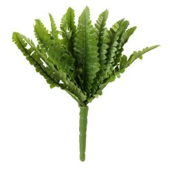 Top 10 ⭐ Ashland® Fern Collection Mini Boston Fern Bush 😍