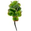 Buy 👍 Green & Orange Succulent Pick by Ashland® 🔔 -Ashland Sales 10337814