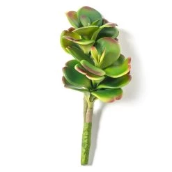 Buy 👍 Green & Orange Succulent Pick by Ashland® 🔔 -Ashland Sales 10337814 21