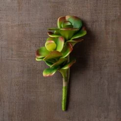 Buy 👍 Green & Orange Succulent Pick by Ashland® 🔔 -Ashland Sales 10337814 25