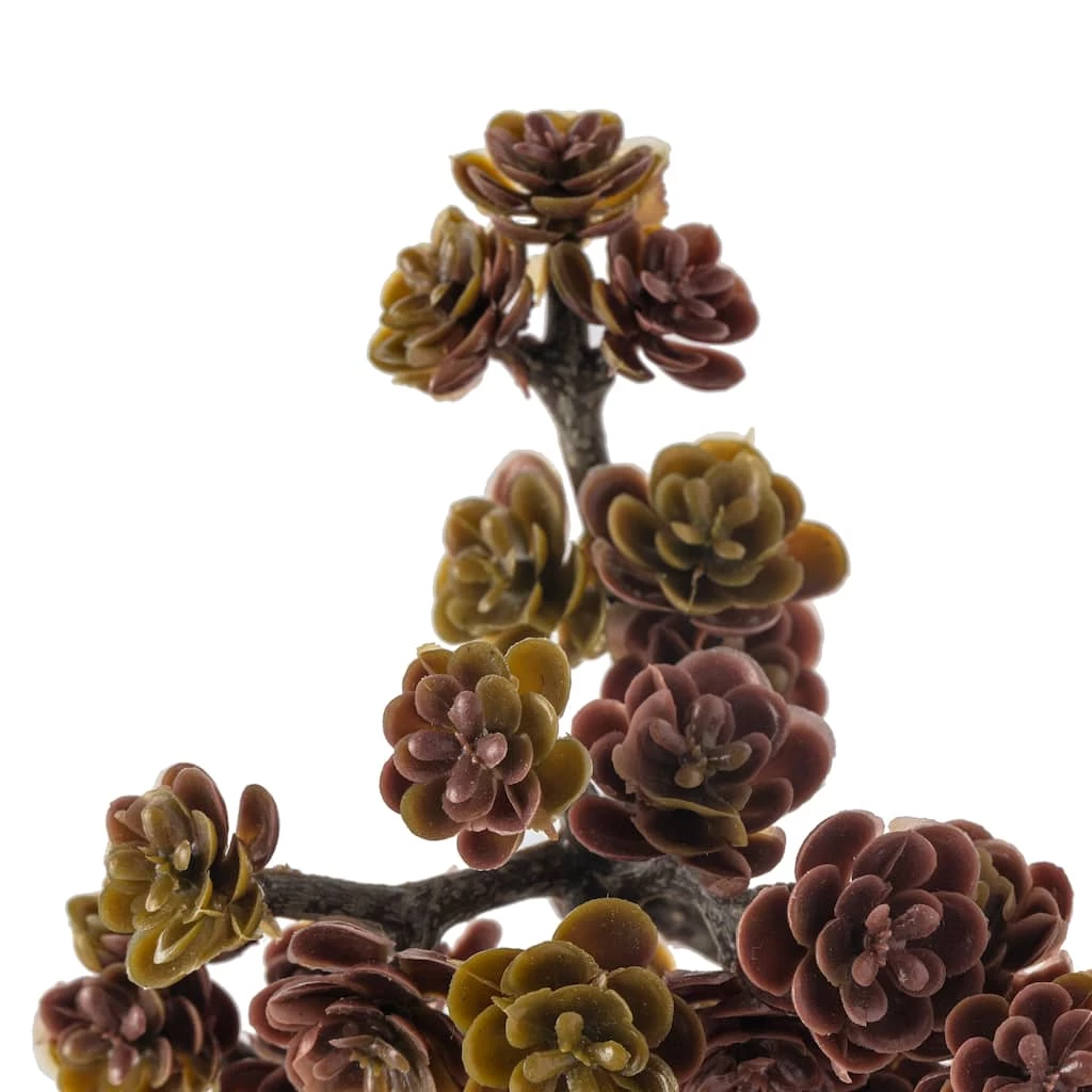 Discount 👏 Creeping Red Sedum Pick by Ashland® 🎉 5 Discount 👏 Creeping Red Sedum Pick by Ashland® 🎉 - Image 3