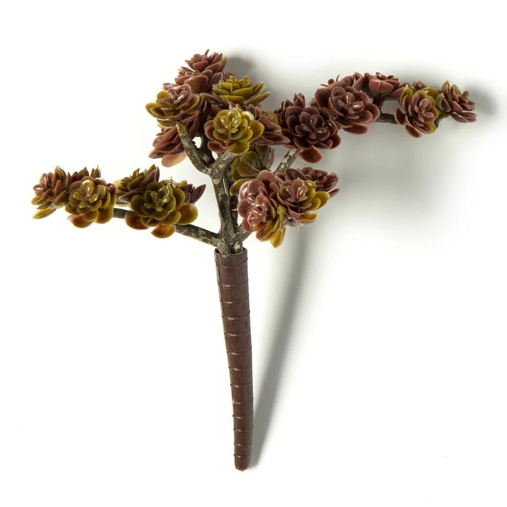 Discount 👏 Creeping Red Sedum Pick by Ashland® 🎉 7 Discount 👏 Creeping Red Sedum Pick by Ashland® 🎉 - Image 5