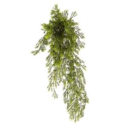 Best deal 🌟 Springeri Bush Fern Collection by Ashland® 👍 9 Best deal 🌟 Springeri Bush Fern Collection by Ashland® 👍 -Ashland Sales 10339547 01