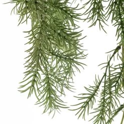 Best deal 🌟 Springeri Bush Fern Collection by Ashland® 👍 8 Best deal 🌟 Springeri Bush Fern Collection by Ashland® 👍 -Ashland Sales 10339547 20