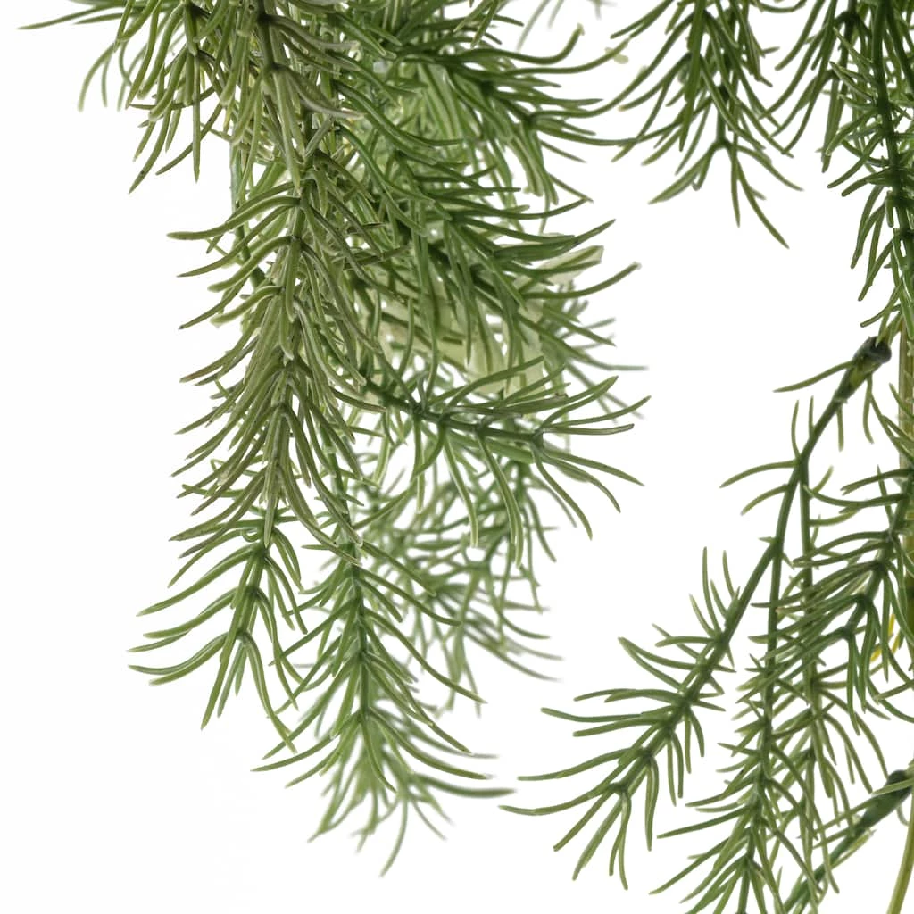 Best deal 🌟 Springeri Bush Fern Collection by Ashland® 👍 5 Best deal 🌟 Springeri Bush Fern Collection by Ashland® 👍 - Image 3