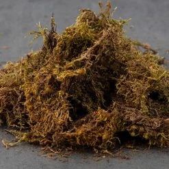 Budget 🎁 Deco Moss by Ashland® 😀 -Ashland Sales 10341503 21