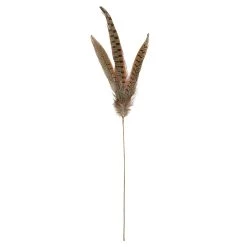 Budget 🧨 Pheasant Feather Picks by Ashland® 🤩 -Ashland Sales 10355706 2