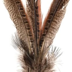 Budget 🧨 Pheasant Feather Picks by Ashland® 🤩 -Ashland Sales 10355706 20