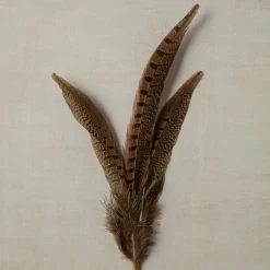 Budget 🧨 Pheasant Feather Picks by Ashland® 🤩 -Ashland Sales 10355706 25