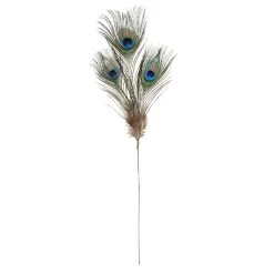 Promo ⌛ Peacock Feather Picks by Ashland® 🔥 -Ashland Sales 10355707 2