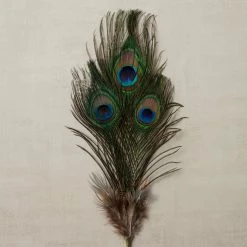 Promo ⌛ Peacock Feather Picks by Ashland® 🔥 -Ashland Sales 10355707 25