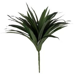 Budget 👏 Assorted Cordyline Bush by Ashland® ❤️ -Ashland Sales 10356827 2