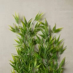 Discount 😍 Hanging Bamboo Fern Bush Fern Collection by Ashland® 😉 7 Discount 😍 Hanging Bamboo Fern Bush Fern Collection by Ashland® 😉 -Ashland Sales 10358114 25