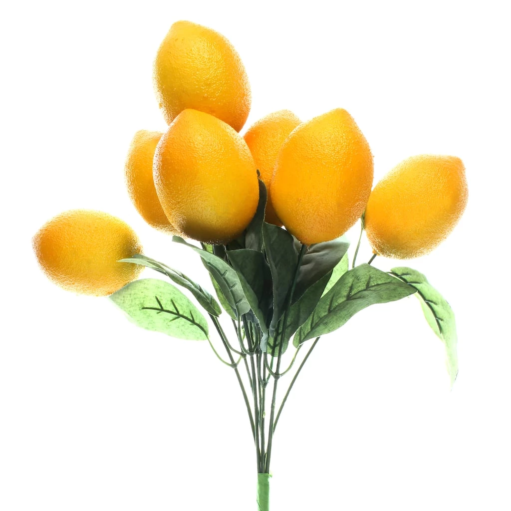 Cheap 😀 6 Pack: Artificial Lemon Bush by Ashland® 😉 3 Cheap 😀 6 Pack: Artificial Lemon Bush by Ashland® 😉