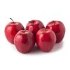 New 👍 Ashland® Garden Fresh Faux Fruit Bag of Red Apples 😉 -Ashland Sales 10360029 20