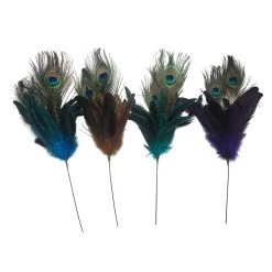 New ✨ Assorted Colorful Feather Pick by Ashland® 💯 -Ashland Sales 10373846 1