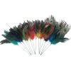 New ✨ Assorted Colorful Feather Pick by Ashland® 💯 -Ashland Sales 10373846 6