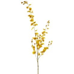 Wholesale 🎁 Dancing Orchid by Ashland® 🌟 8 Wholesale 🎁 Dancing Orchid by Ashland® 🌟 -Ashland Sales 10381029 1