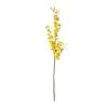 Wholesale 🎁 Dancing Orchid by Ashland® 🌟 -Ashland Sales 10381029 21