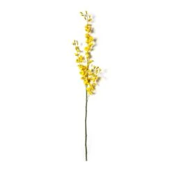 Wholesale 🎁 Dancing Orchid by Ashland® 🌟