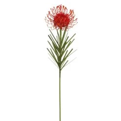 Hot Sale 🛒 Tropical Needle Protea Spray by Ashland® 🧨 -Ashland Sales 10381033