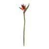 Buy ⭐ Tropical Bird of Paradise Stem by Ashland® 👏 -Ashland Sales 10390624 21