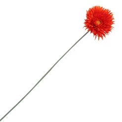 Best deal 🥰 Spider Gerbera Daisy Spray by Ashland® 🔔