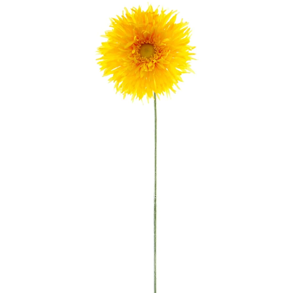 Buy 🎉 Jumbo Spider Gerber Daisy Stem by Ashland® 🛒 6 Buy 🎉 Jumbo Spider Gerber Daisy Stem by Ashland® 🛒 - Image 4