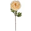 New 🎉 12 Pack: Cream Peony Stem by Ashland® 🔔 -Ashland Sales 10402091 1