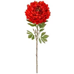 Budget β 12 Pack: Red Peony Stem by Ashland® π