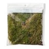 Deals 🧨 Forest Green Preserved Moss by Ashland® 😉 -Ashland Sales 10407975 20