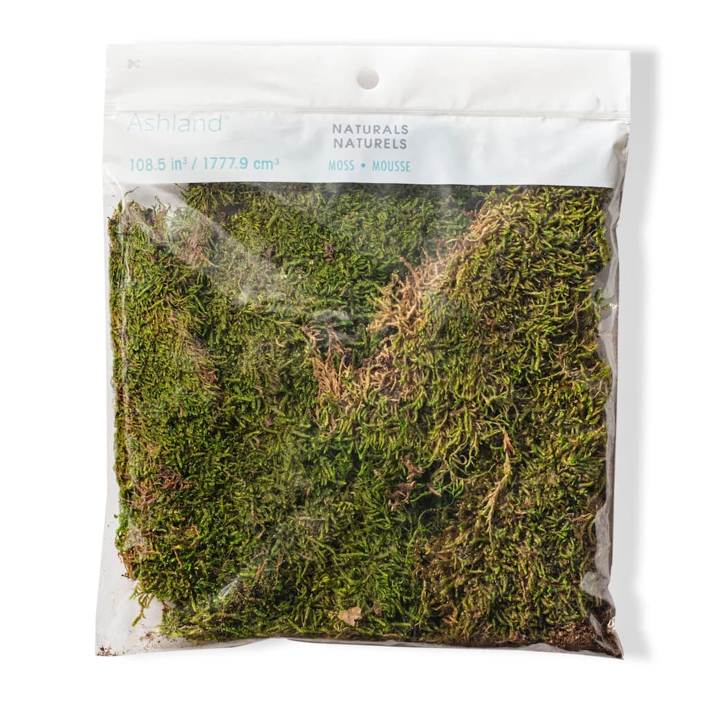 Deals ๐งจ Forest Green Preserved Moss by Ashland® ๐ 3 Deals ๐งจ Forest Green Preserved Moss by Ashland® ๐