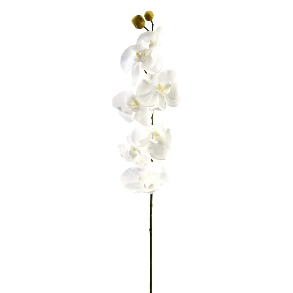 Brand new π― Phaleanopsis Orchid by Ashland® π₯° 3 Brand new π― Phaleanopsis Orchid by Ashland® π₯°