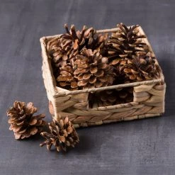 Wholesale 🎉 Pinecone Bag by Ashland® 🎉 -Ashland Sales 10424644 22