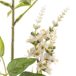 Outlet 🛒 Cream Hybrid Spirea Spray by Ashland® 😍 6 Outlet 🛒 Cream Hybrid Spirea Spray by Ashland® 😍 -Ashland Sales 10430240 20