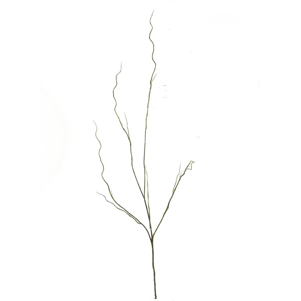 Flash Sale ❤️ Tropical Twig Branch by Ashland® ✔️ 6 Flash Sale ❤️ Tropical Twig Branch by Ashland® ✔️ - Image 4