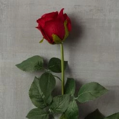 Hot Sale 🛒 Dutch Rose Spray by Ashland® 👍 9 Hot Sale 🛒 Dutch Rose Spray by Ashland® 👍 -Ashland Sales 10430282 25