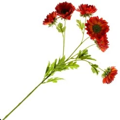 Cheap 🔔 12 Pack: Rust Daisy Mum Spray by Ashland® 😉