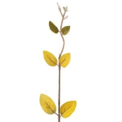 New 🔥 Lonicera Leaf Spray by Ashland® ⭐ -Ashland Sales 10430396 20