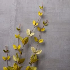 New 🔥 Lonicera Leaf Spray by Ashland® ⭐ -Ashland Sales 10430396 22