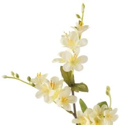 Budget 🛒 Cream Mini Vinca Spray by Ashland® 🤩 -Ashland Sales 10449815 20