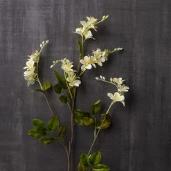 Budget 🛒 Cream Mini Vinca Spray by Ashland® 🤩 -Ashland Sales 10449815 22