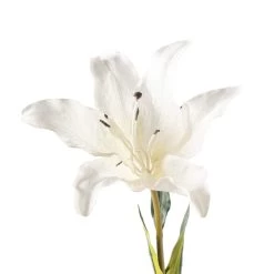 Coupon 👏 White Lily Stem by Ashland Classic Traditions™ 🌟 -Ashland Sales 10450085 20
