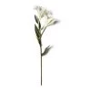 Coupon 👏 White Lily Stem by Ashland Classic Traditions™ 🌟 2 Coupon 👏 White Lily Stem by Ashland Classic Traditions™ 🌟 -Ashland Sales 10450085 21