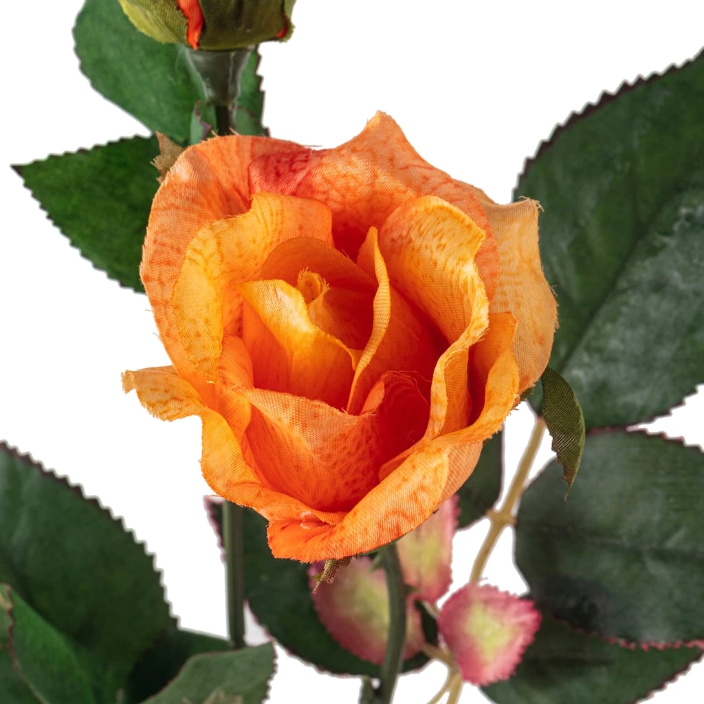 Wholesale ๐ Rose Spray by Ashland® โ๏ธ 5 Wholesale ๐ Rose Spray by Ashland® โ๏ธ - Image 3