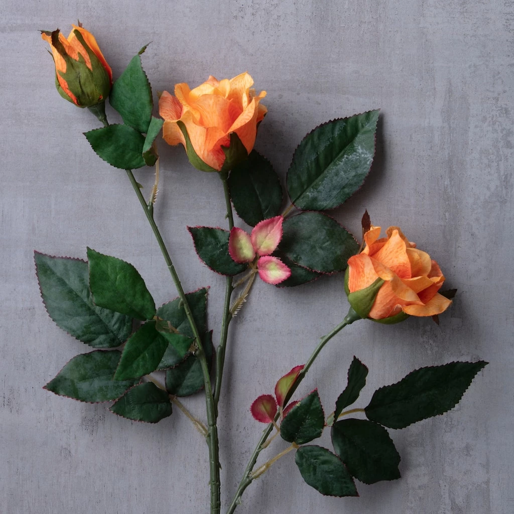 Wholesale ๐ Rose Spray by Ashland® โ๏ธ 4 Wholesale ๐ Rose Spray by Ashland® โ๏ธ - Image 2