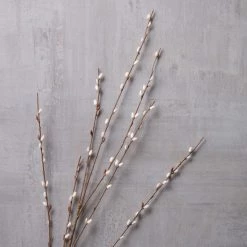 Flash Sale 🔥 Pussy Willow Stem by Ashland® 🤩 -Ashland Sales 10450208 22